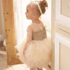 Flower Girl Dresses Embroidered Fluffy Skirt Princess for Party Wedding Baby Clothes 0-8Y HM001 210610