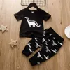 Sommarbarn sätter Casual Short Sleeve Print Dinosaur T-shirt Tyrannosaurus Rex Trousers 2PCS Boys Clothes 210629