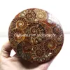 5 Pz Vendita Ammonite Naturale Conchiglia Fossile Cristallo di Quarzo Disco Madagascar Conchiglia Fossile Gemma Disco Esemplare Guarigione Cranio Reiki Senza Supporto