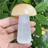 Oggetti decorativi Figurine Grandi dimensioni !!! Cristallo di selenite naturale Quarzo Fungo lucido Reiki Gesso Guarigione Artigianato Decorazione