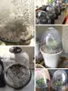 Plastic Transparent Planting Pot Lid Flower Pot Cap Cover for Home Gardens Tools Vientiane Bonsai Pots