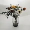 Vases simples européens Creative Transparent Vase en verre coloré Salon Tables Smallmouth Accueil Vase à fleurs Artisanat Décor 210310