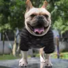 Moletom preto legal estampado para animais de estimação estilo de rua ao ar livre roupas para cachorros Bulldog Teddy Bichon roupas para cães
