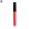 Lip Gloss 4ml Black Cover Transparent Tube Matte Velvet To Smooth Lipstick Easy And Cup Glaze Not Light Women Stick Y3z01694663
