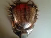 New Golden Cosplay Quality Costume Ball Aliens Vs Predator AVPR Mask Halloween Dance Birthday Party Masquerade --- Loveful