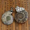 Natuurlijke Crystal Fossil Shell Slak Hanger Ketting Energie Steen Helende Divination Kettingen voor Home Decoration Gift Collection