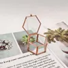 Hexagon Transparent Rose Gold Glass Ring Box Wedding Geometric Jewelry Organizer 211014