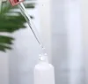 Bottiglia di profumo di olio essenziale di vetro smerigliato trasparente Flacone contagocce pipetta reagente liquido con rosa SPEDIZIONE VELOCE