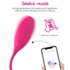 Mutandine Bluetooth Controllo APP wireless Vibratore Uova vibranti Palline indossabili Punto G Massaggio clitoride Giocattolo del sesso per le donne 2106235FH7