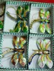 Kolorowe ozdoby cloisonne emalia Dragonfly Insect chiński model dekoracje Home Office Decor wiszące dodatki Prezenty z pudełkiem