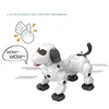 2.4G Remote Control Robot Dog Infrared Tracking Spray Wireless Smart RC Puppy Q6PD per bambini