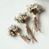 10 Stems Natural Dried Flower Mushroom Grass Small Ginkgo0197615412710331