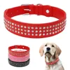 xl leder hundehalsband