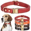 Vintage s Personalized Pet Quality Leash Lead Cowhide Leather Collar Durable Medium Large Dog