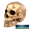 Halloween Skull Realistic Looking Skull Human Skeleton Skull Resin Model Resin Model Halloween Party Supplies Factory price expert design