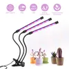 LED à spectre complet élèvent la lumière DC5V USB Clip de bureau Phyto lampes avec minuterie de gradation sans électrode Contrôle des plantes Lumières pour semis Fleurs Boîte de tente