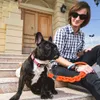 Pet Products Dog Leash для средних больших собак поводки хлопковые собаки поводка веревка веревки для животных свинцовые собаки воротник жгут бегущий поводки 210712