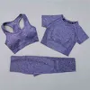 2/3 adet hayati Dikişsiz Yoga Set Spor Giyim Kadın Spor Giyim Tayt + Spor Sutyen + Kısa Kollu Mahsul Üst Gym Suits 210802