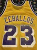Hommes Femmes Jeunes Vintage Champion Cedric Ceballos Basketball Jersey Broderie ajouter n'importe quel numéro de nom
