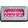Grado A 21pcs rose immortali testa 2-3cm rosa naturale conservato fiore fai da te gif eternal design floreale materiale decorazione di nozze Q0826