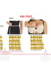 허리 트레이너 바인더 바디 셰이퍼 코르셋 모델링 스트랩 Shapewear 슬리밍 속옷 여성 Faja Girdle 시정 조정 속옷