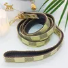 Luxuriöse Hundeleine, luxuriöses Designer-Hundehalsband für Hunde – moderne, stilvolle Leine in Premiumqualität, perfekt für kleine und mittlere Hunde H0914235b