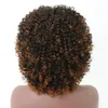 16 pouces Afro crépus bouclés perruques synthétiques Simulation perruque de cheveux humains gris perruques de cheveux humains WL9192-T2/30 #