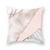 Wish the hot rose gold pink melocotón piel de oveja papel funda de almohada sofá cojín artículos para el hogar comercio explosión RRE12265