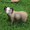 OENUX FARM Zwierzęta Symulacja Alpaca Lamb Lamb Sheep Goat Model Action Figury Figurki PVC Miniaturowa Edukacyjna Cute Toy Dla Kid C0220