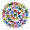 butterfly 3d Fashion decoration wall stickers pvc removable High Quality wallstickers WLL41