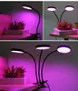 LED à spectre complet élèvent la lumière DC5V USB Clip de bureau Phyto lampes avec minuterie de gradation sans électrode Contrôle des plantes Lumières pour semis Fleurs Boîte de tente