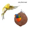 Другие птицы поставляют хомяк белка теплое украшение игрушки для попугая гнездо гнездо домашнее размножение кормушка кокосовая раковина натуральная попугая прочная клетка