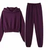 Fleece Tracksuits Mulheres Duas peças Set Hooded Oversized Sweatshirt Calças Cor Sólida Capuz Hoodie Ternos Outono Inverno Casual Outfits 210607