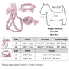 Hund Harness koppel krage set mjuk justerbar söt dubbel lager hund sele krage koppel utomhus promenad för små medelstora pet5720435