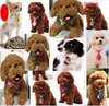 120pc/lot Pet puppy Dog Apparel Bow Ties Cat Neckties Grooming Supplies 6 model Y1025