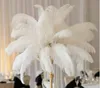 Vente en gros 14-16 pouces Blanc noir rouge rose bleu jaune vert violet rose Plumes d'autruche pour table de table de mariage livraison rapide