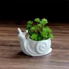 1 PC Caracol dos desenhos animados Plantador cerâmico para suculentas Plantas Sucultas de Área de Estimação Decorativa Mini Flor Pot Jardim Decoração Y200709