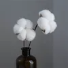 パンパス草の思想家綿花乾燥綿の茎農家自然に人工花ピック天然綿球なし9629639