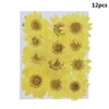 Decorative Flowers & Wreaths 12PCS/Bag Pressed Daisy Dried Flower Pendant Necklace Resin Jewelry Making DIY Crafts Art