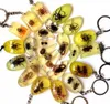 50 pcs mixed style fashion keychain real insect charming jewelry