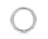 10pcs/lot Titanium Gems Seamless Hinged Segment Ring Clicker lage Nose/Lip/Ear Hoop Septum 16G Shine6492803