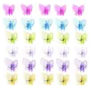 Garden Supplies Other Orchid Clips 30Pcs Butterfly Plant Support Vine For Flower