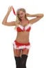 Andere slipjes Heet en charmant sexy ondergoed Set Kerst Rollenspel Kleding Uniform Temptation Meerdere maten