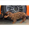 Autumn e Winter Sweater Big Dog Leisure Letra Brown Roupas de moda quente Tamanho XS-XXL