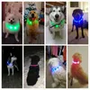 Colares Colares Lemas Recarregável Noite Piscando USB Luminosa Pet Collar LED Light Cobrando Flash de Teddy Brilhante