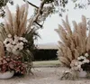 6080CM White Natural Reed Dried Flower Big Pampas Grass Bouquet Wedding Flower Ceremony Decoration Modern Home Decoration4819016