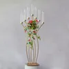 Flowesr Ball Stand Trupet Vase Таблица Центр Оптовая Свеча Держатель Свеча Держатель Свадебные Украшения Акриловые Абажур Цветочная Рамка Фон Свадебный Стадия Декор