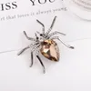 Mode Strass Spider Broche Insect Pak Revers Pin Hoed Kleding Sjaal Gesp Mannen Vrouwen Accessoires