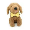 Dog Harness Leash Collar Set Soft Adjustable Cute Double Layer Dog Harness Collar Leash Outdoor Walking For Small Medium Pet