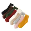 Chaussettes Bonneterie Femmes Automne Et Hiver Style Collège Dentelle Tube Absorbant La Sueur Respirant Coton En Gros